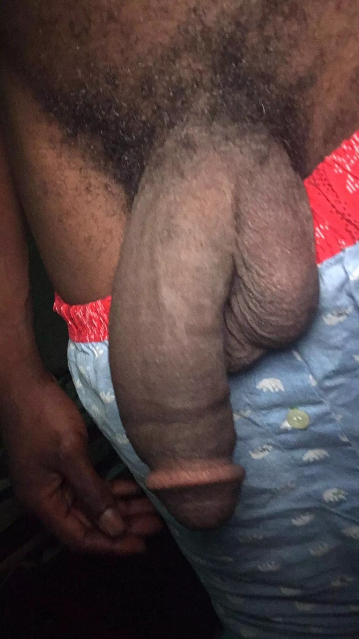 Who wanna tug on it? If you wouldn’t tug it, let me know what you would do in the comments 😋 posted by Garlic_Then