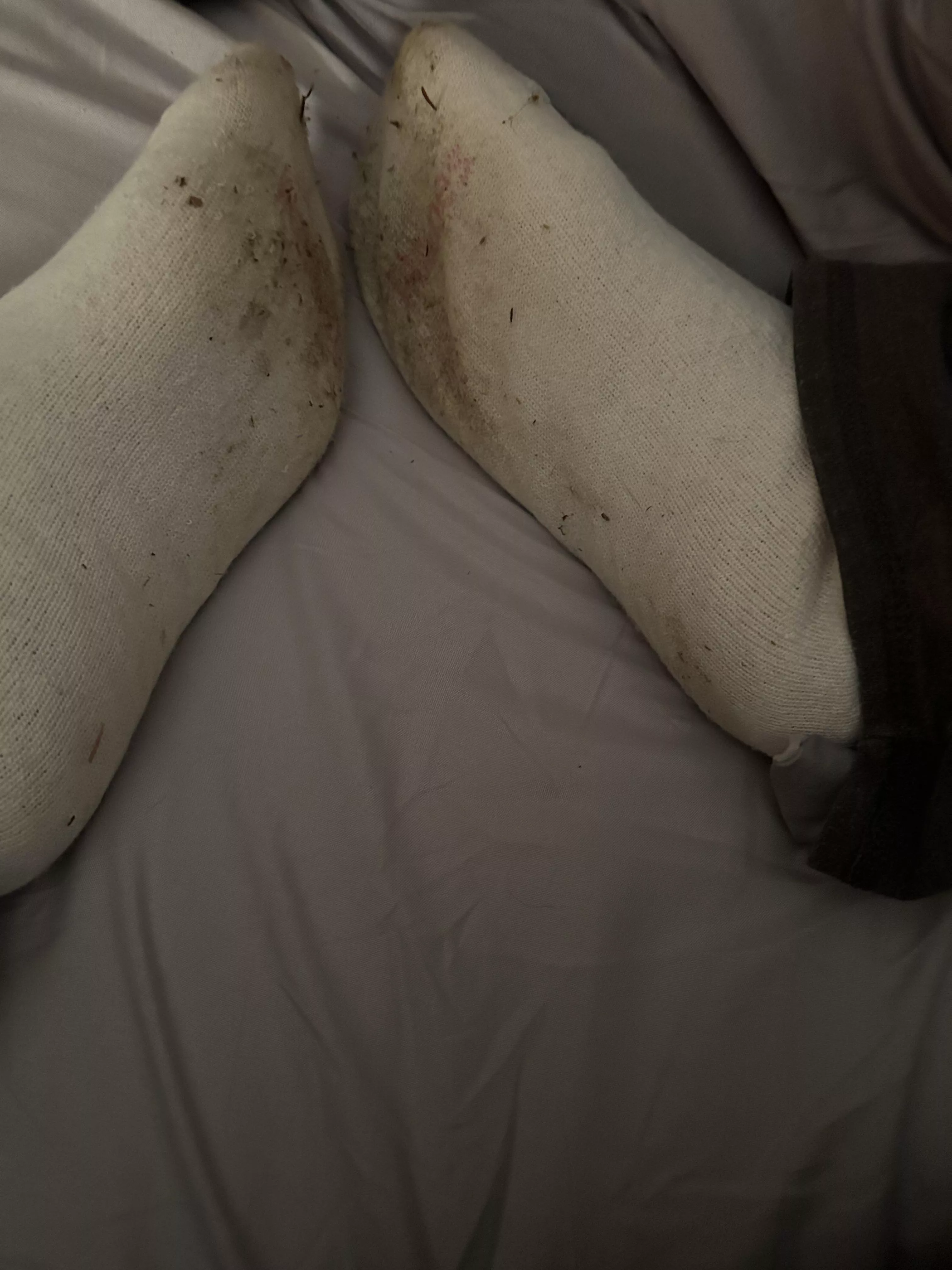 Who wants these delicious dirty socks posted by XxxSashaFoxxx
