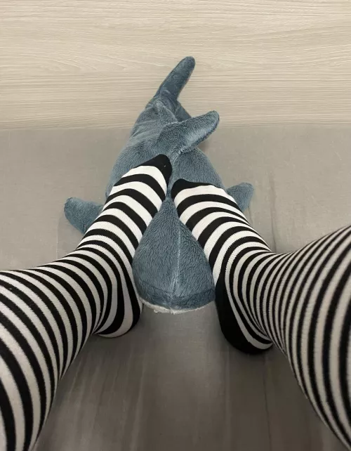 Who would like to be in the shark’s place? by White-Bunny04