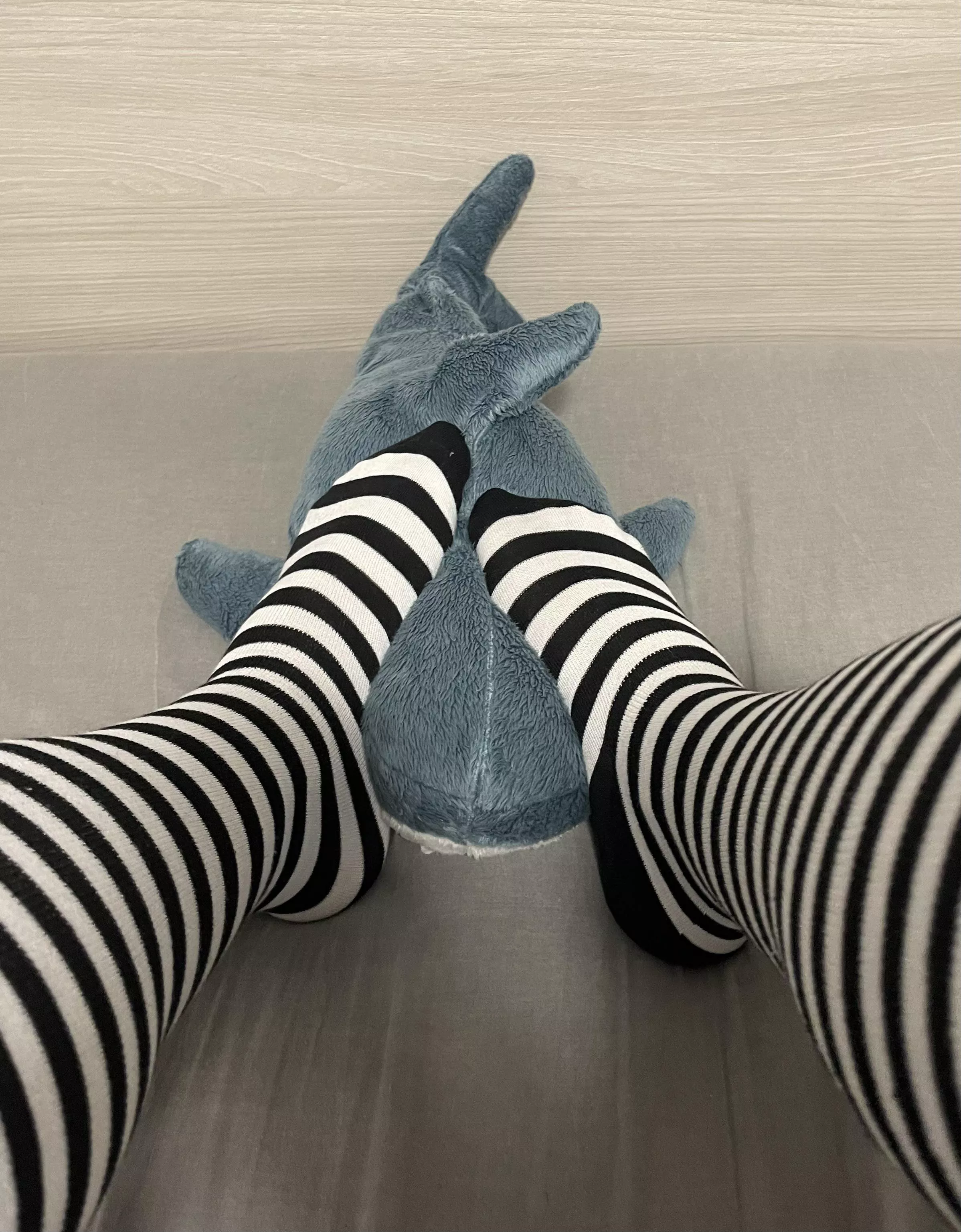 Who would like to be in the shark’s place? posted by White-Bunny04