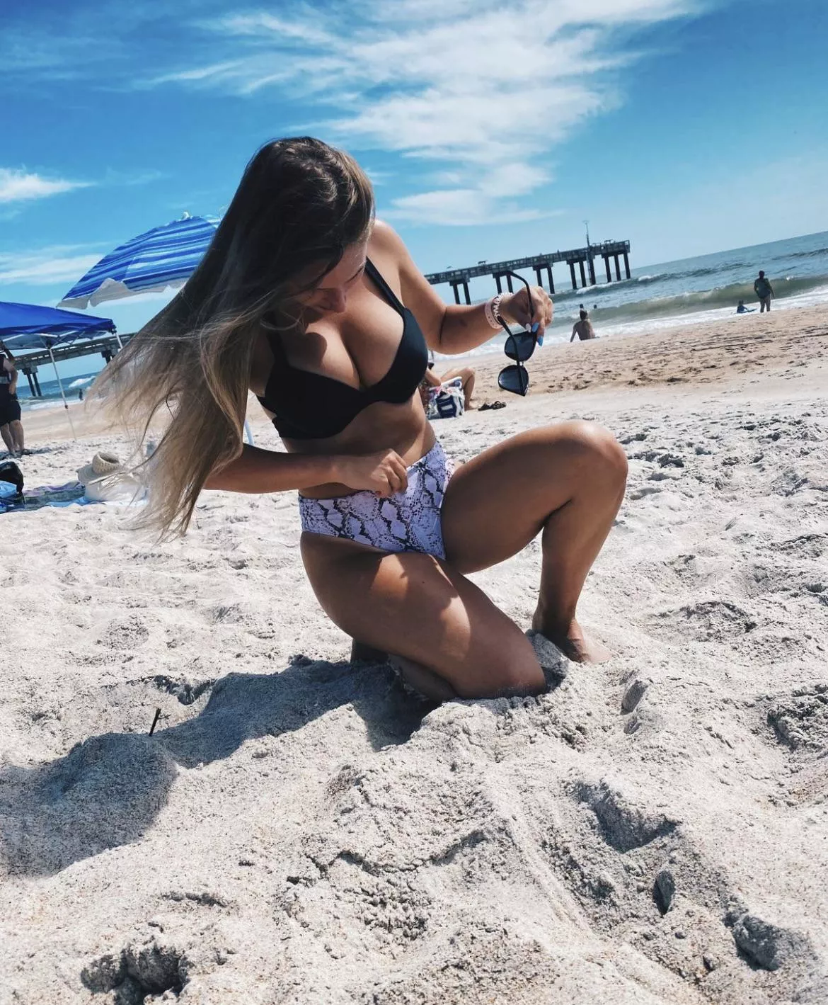 Windy day posted by Wallydinger123