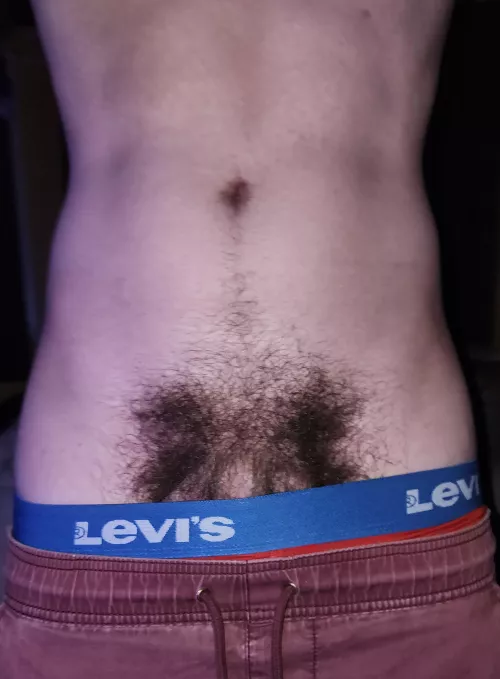 19 years old, do you like hairy teens? 👀🤭 by fuckyoucock
