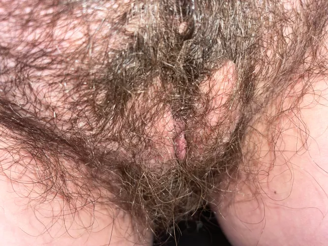 7 years no shave by Expensive-Share-7295