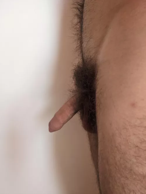 Bush from the side by JustASeeker_K