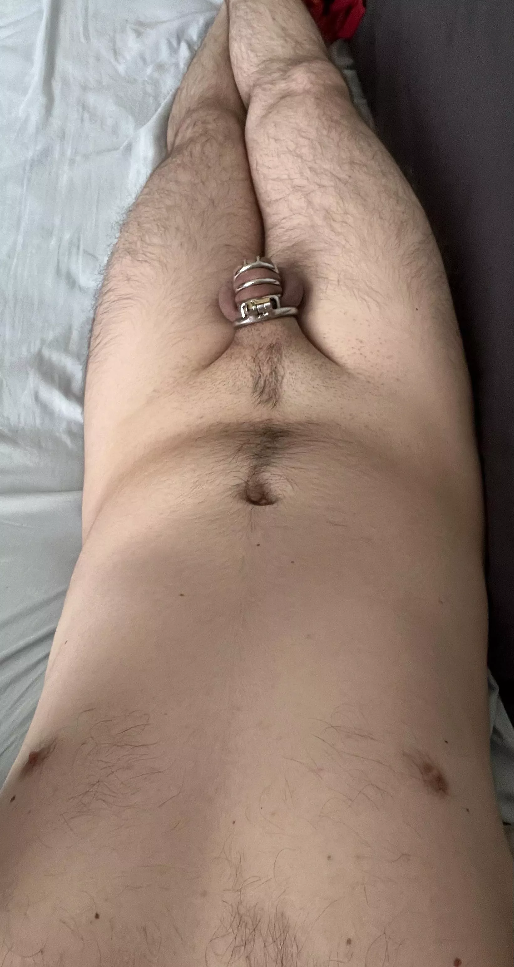 Day 4/? posted by lmaogeeps