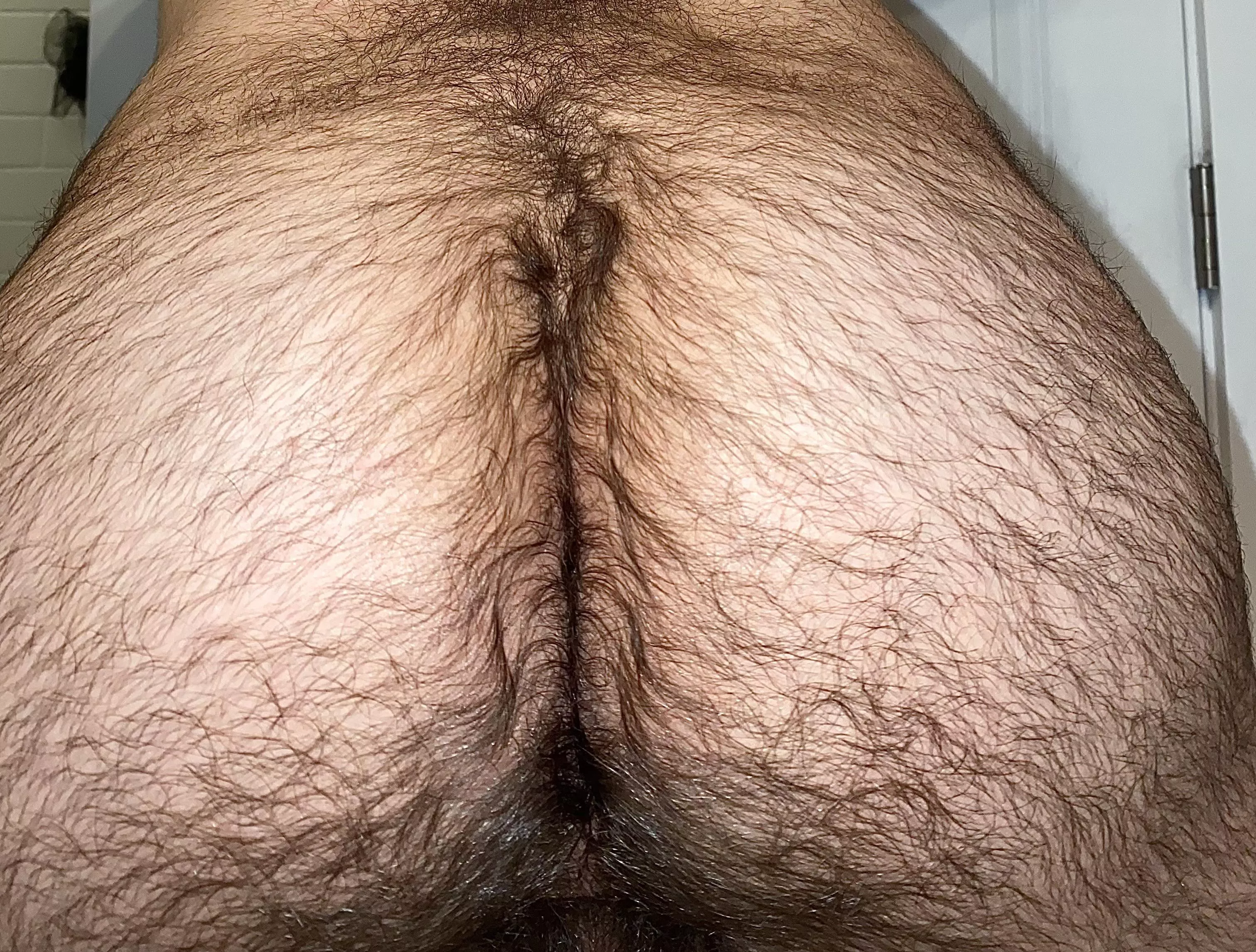 Dinners ready. 🍲 posted by Efficient-Basket-534