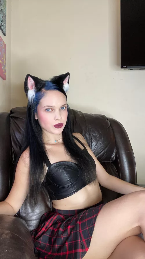 [f] happy Wednesday from a sweet lil kitten !! by thighhighthot