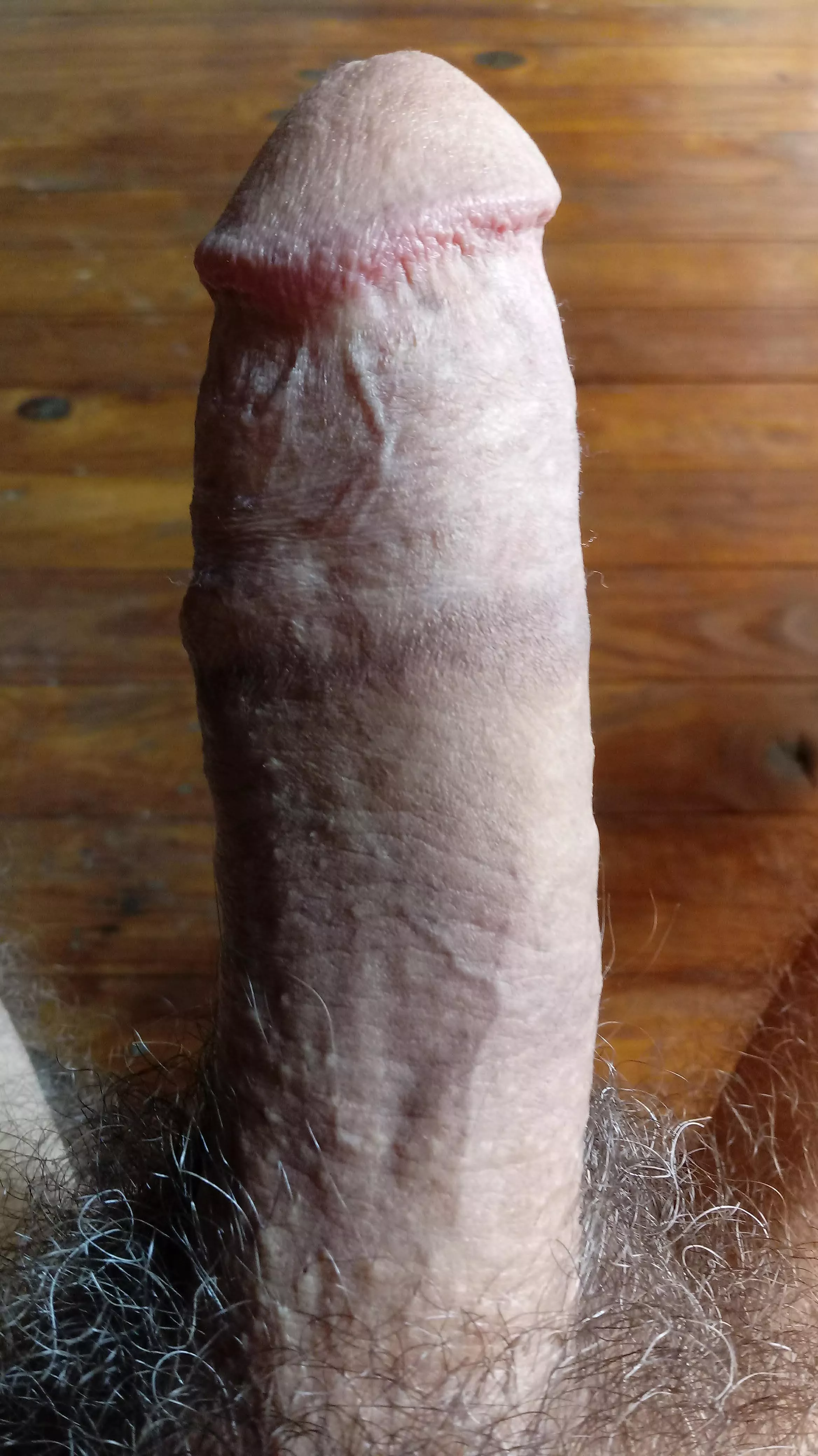 First post here posted by Consistent_Meat_4993