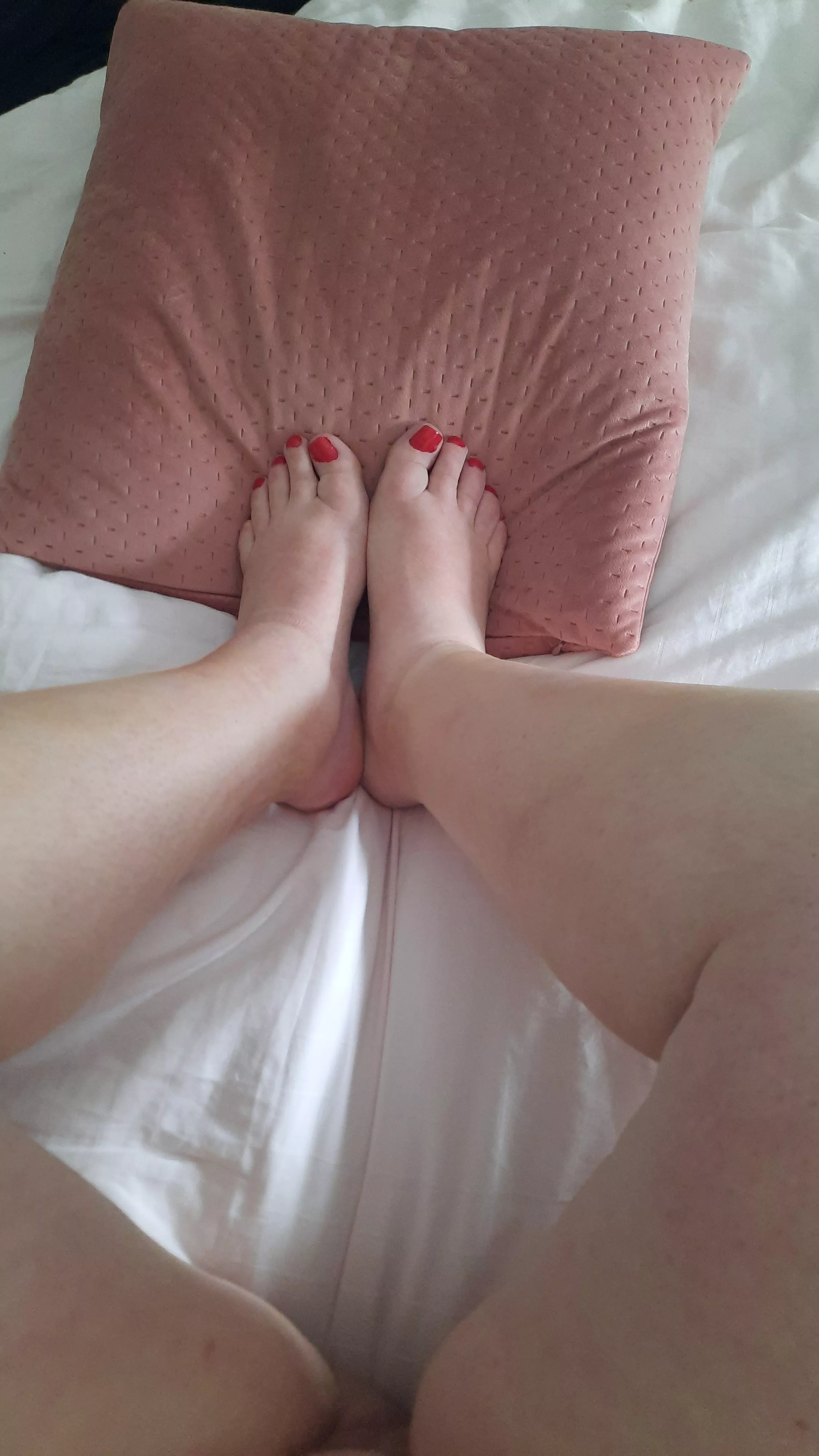 Freshly painted- it wasn't an easy job! Next time I need a helper! posted by rouge2135