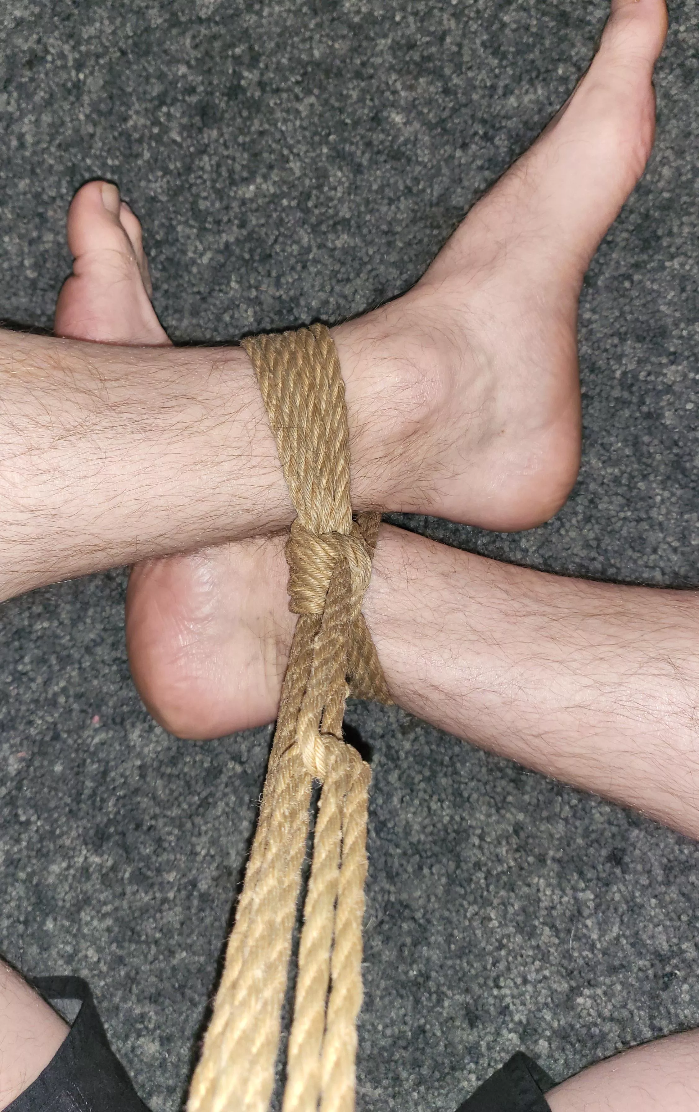 Getting back into things posted by igobytony