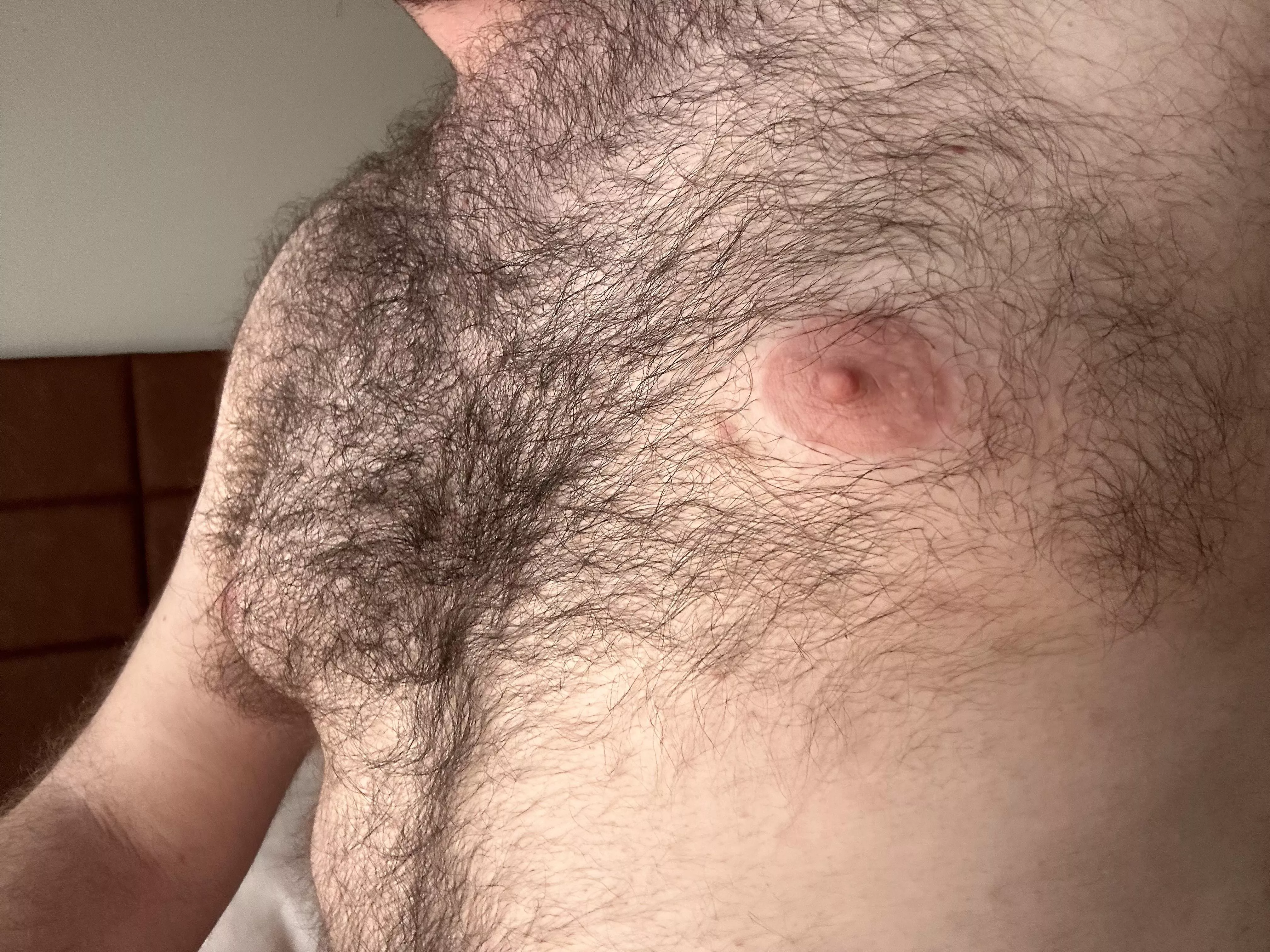 Golden hour on my chest hair and nips posted by hollyveryjolly