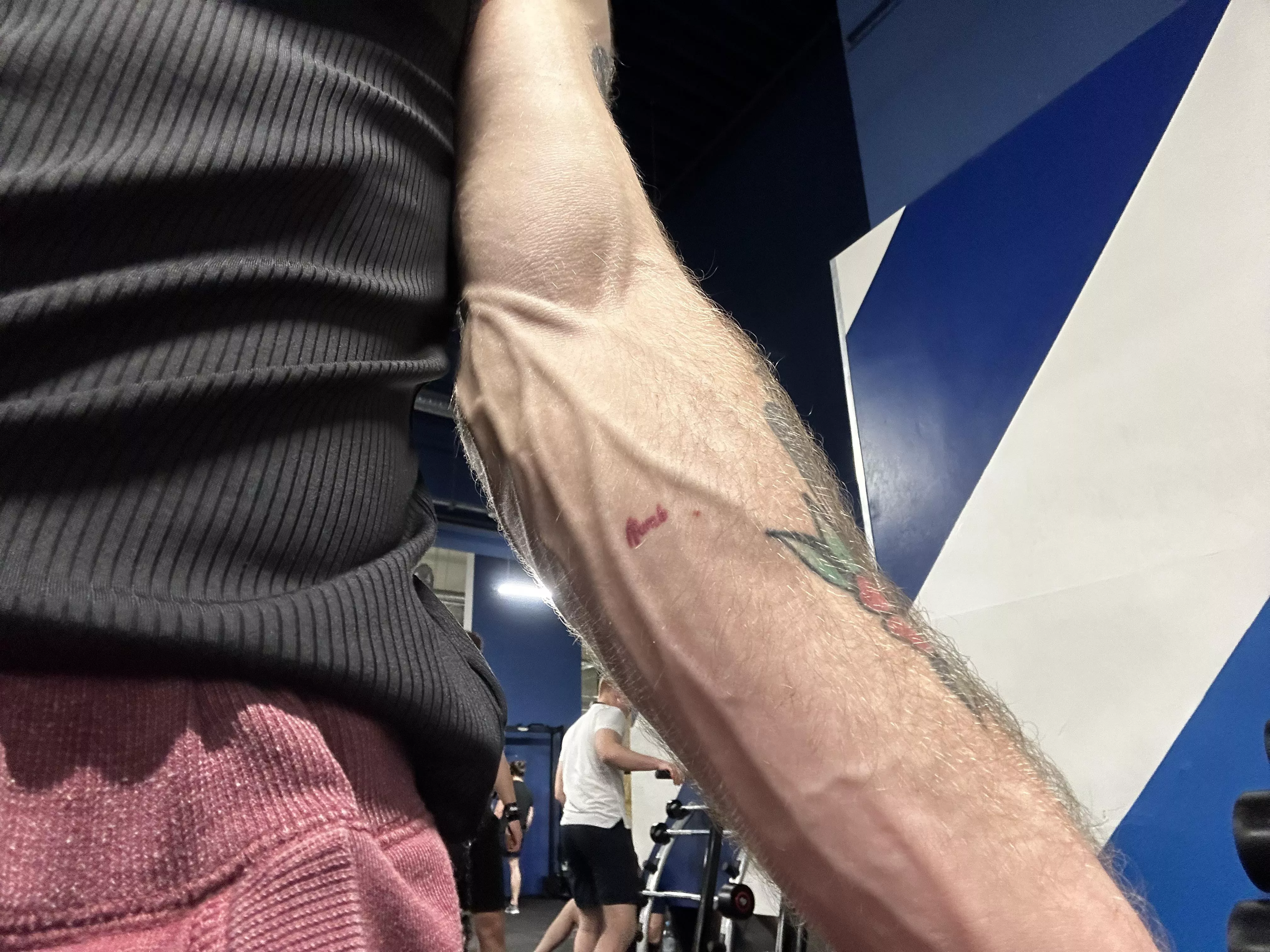 Gym quickie posted by haael12