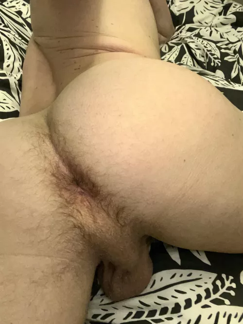 Hairy hole need some Dick by p1p5p0