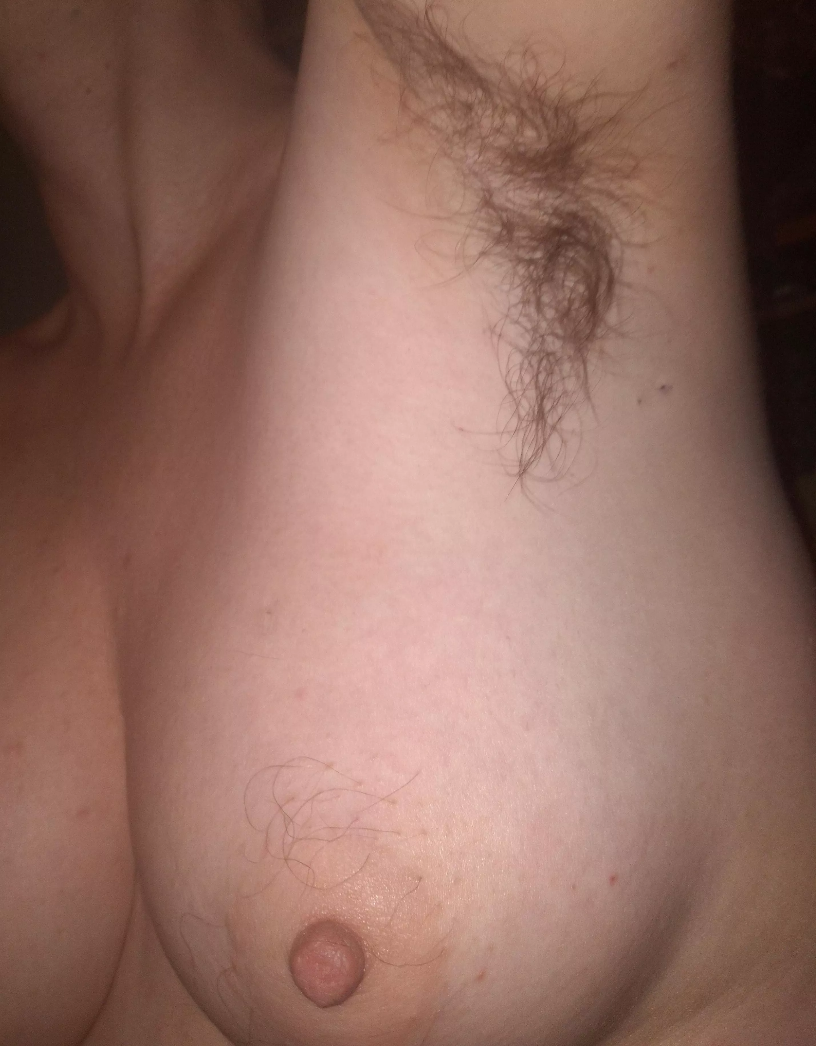 I love my pits 🥰 posted by StarQualityBush