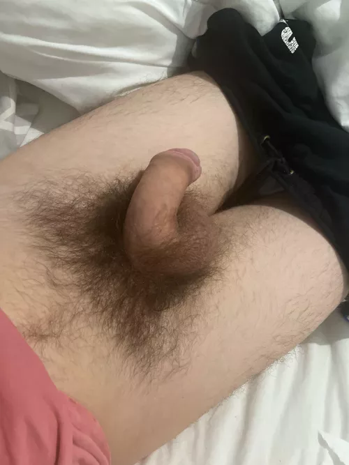 Kinda cute when it’s soft by Embarrassed-Lynx5621