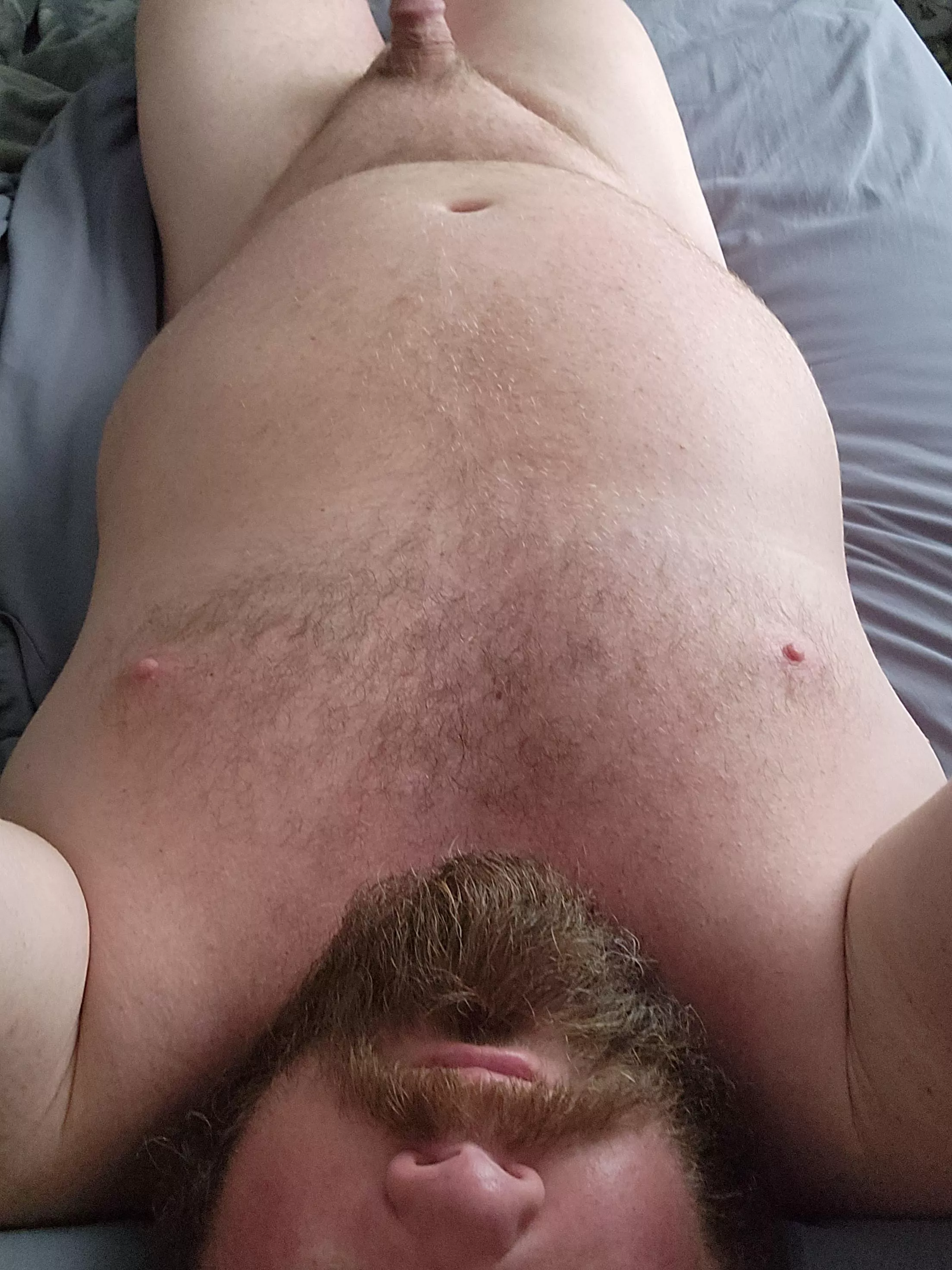 Morning glory posted by Quietwave907