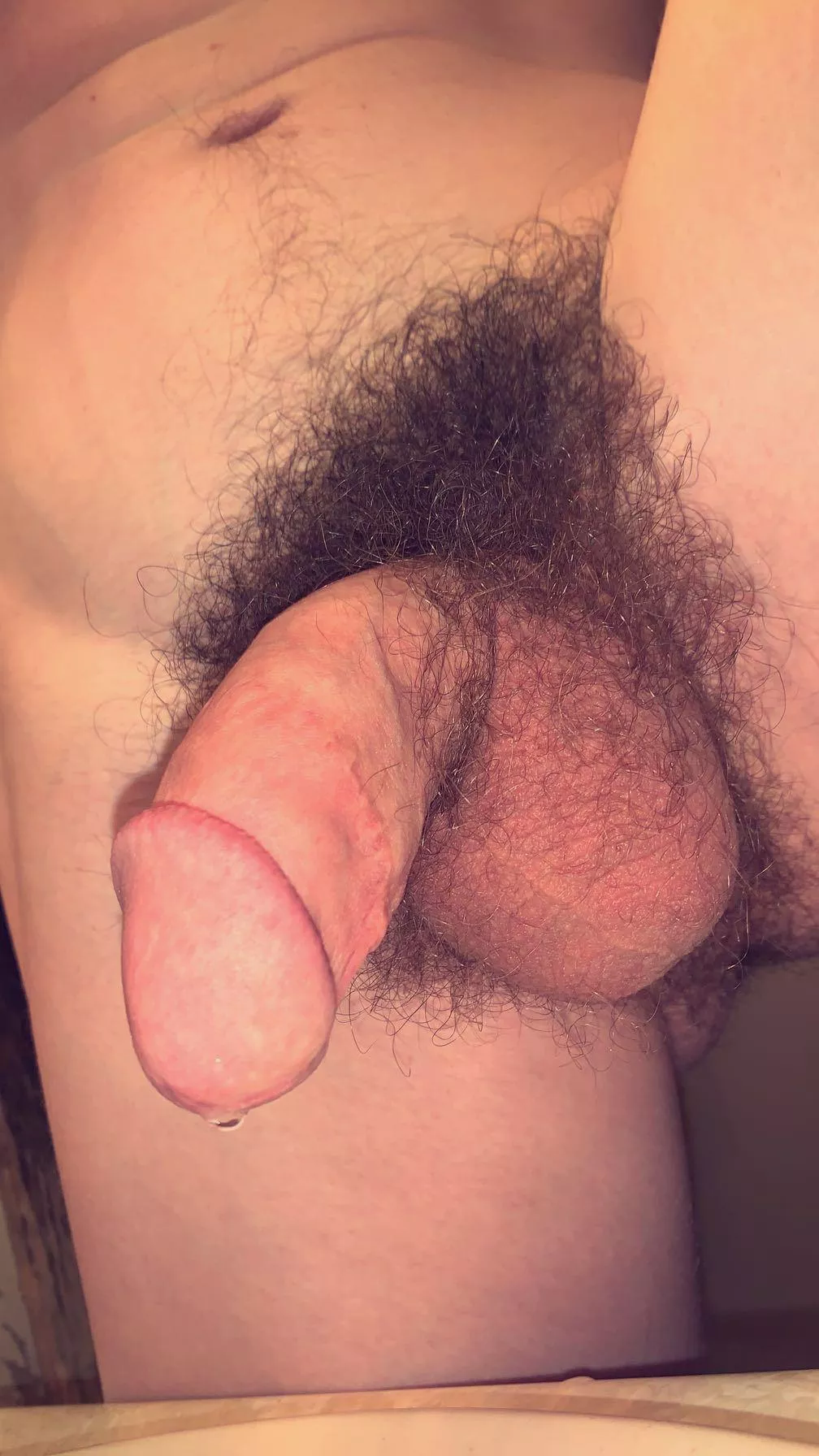 Need a fuzzy bear to share my bush with 🥺🥰 posted by slytherinwizard