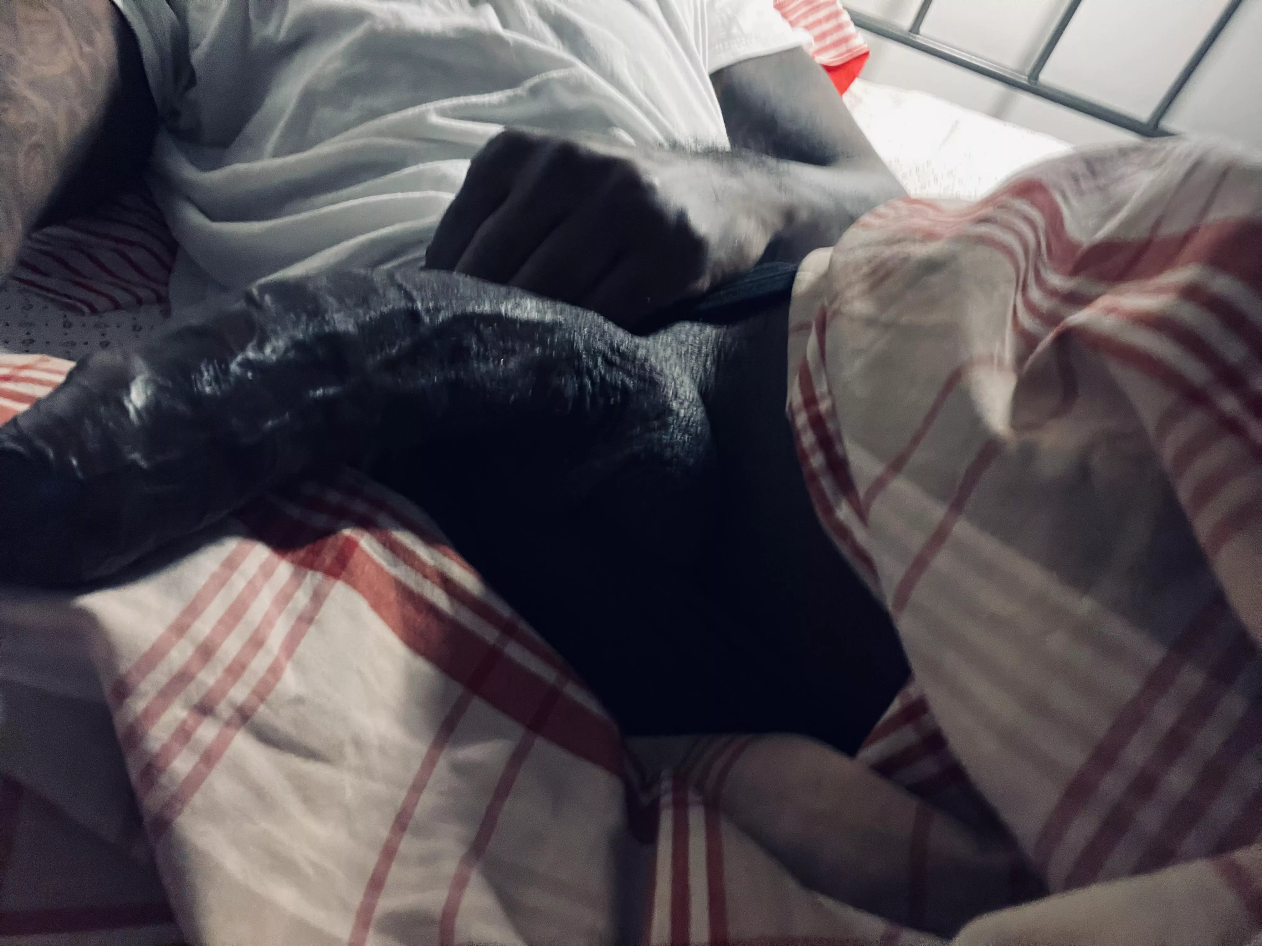 Raging bull posted by hornypurple