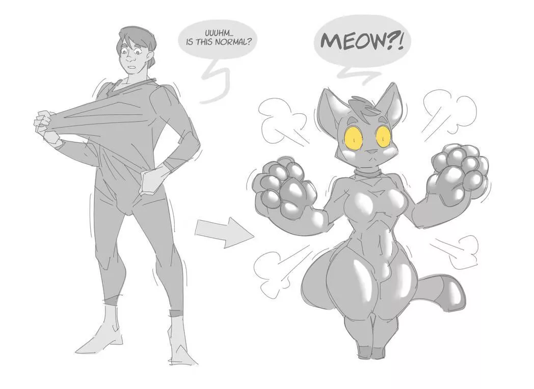 Shrink Wrapped Kitty - Hukeng posted by transformalt