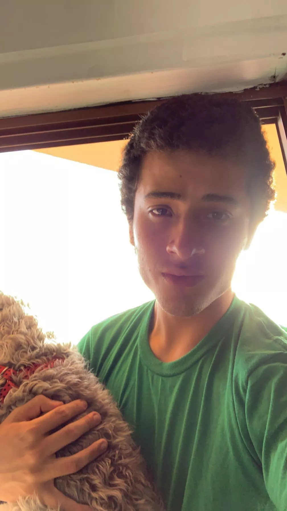 sunny days are good ngl w doggie x posted by Intelligent-Mud-1386