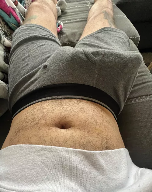 These boxers are ruined by catsanddogsandlogs