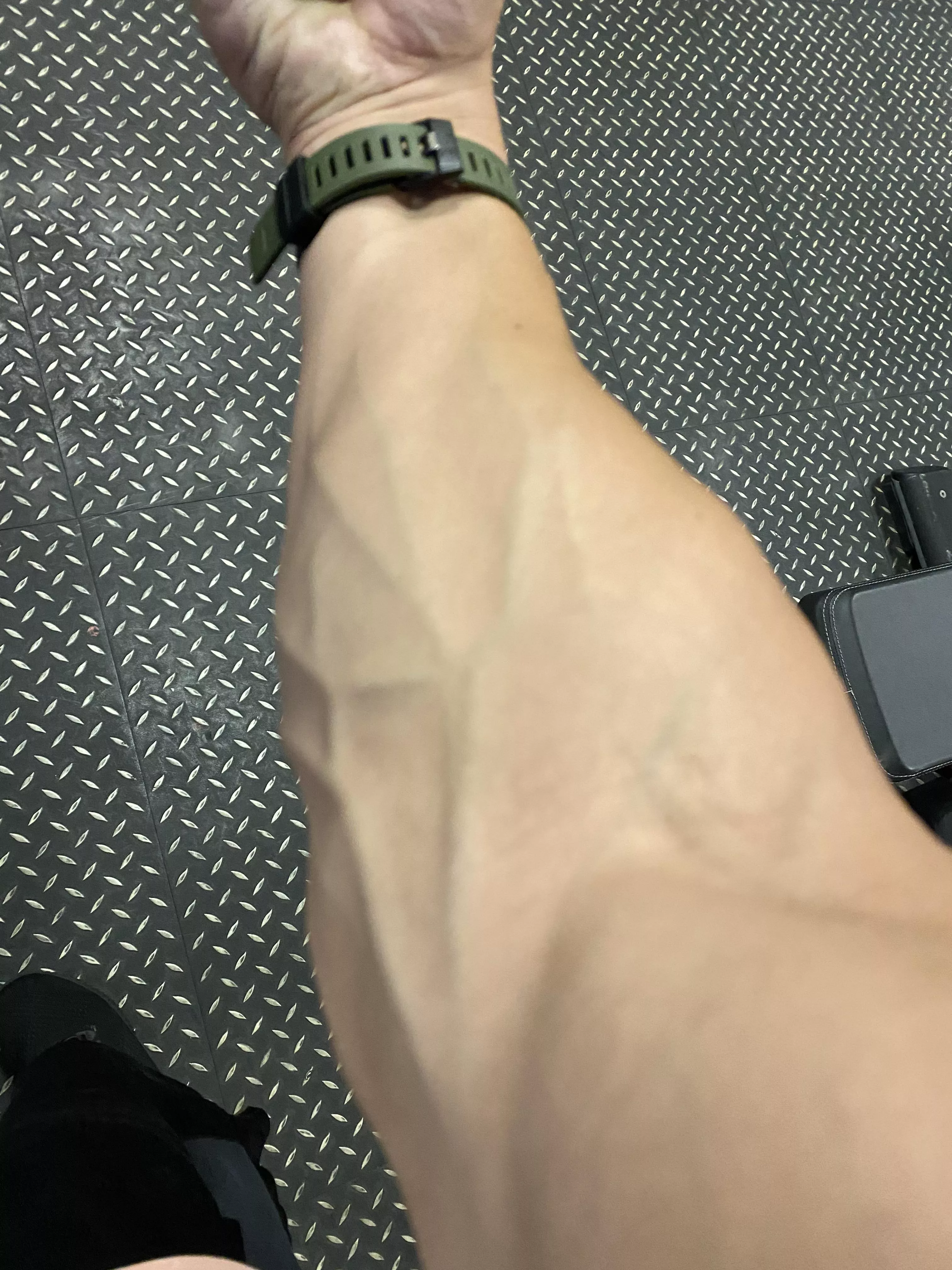 Veins are poppin today! posted by TrainerRay85