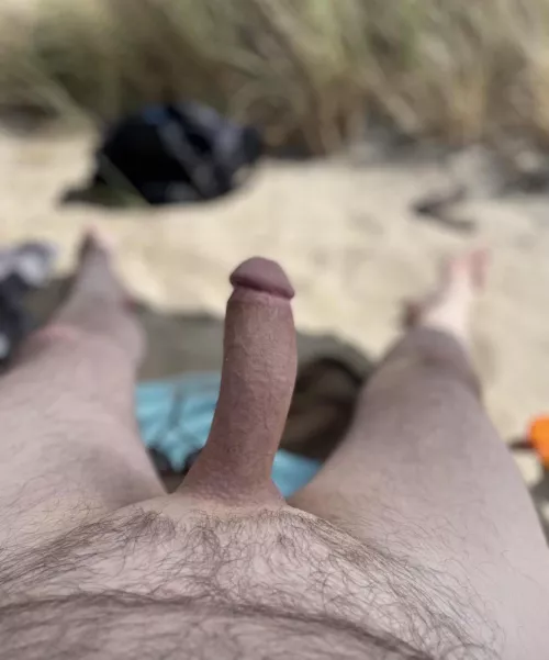 What? by Bitter-Experience-26