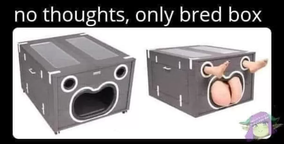 What is this toy called? by High_Im_Ashley