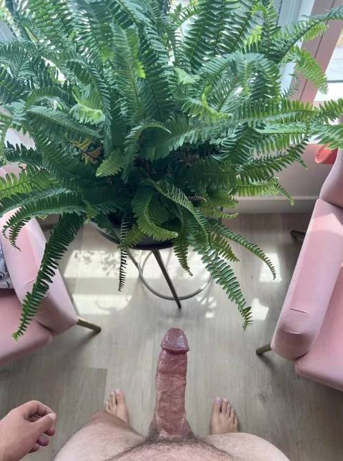 Who wants a load? (34) by Usmcz13