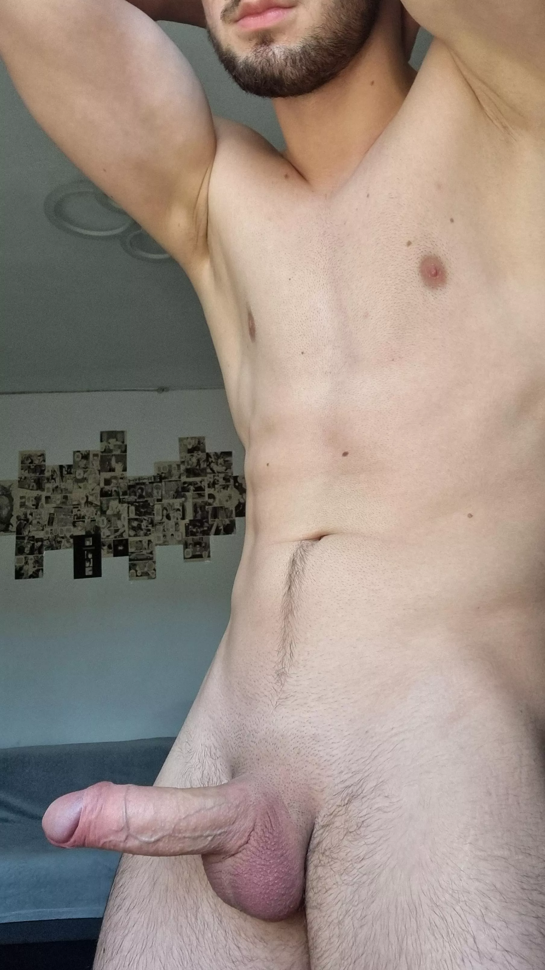 would you let me cum Inside you? posted by SignificantAgeas