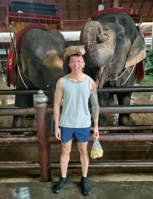 *Bonked* by daddybeatsmehelp