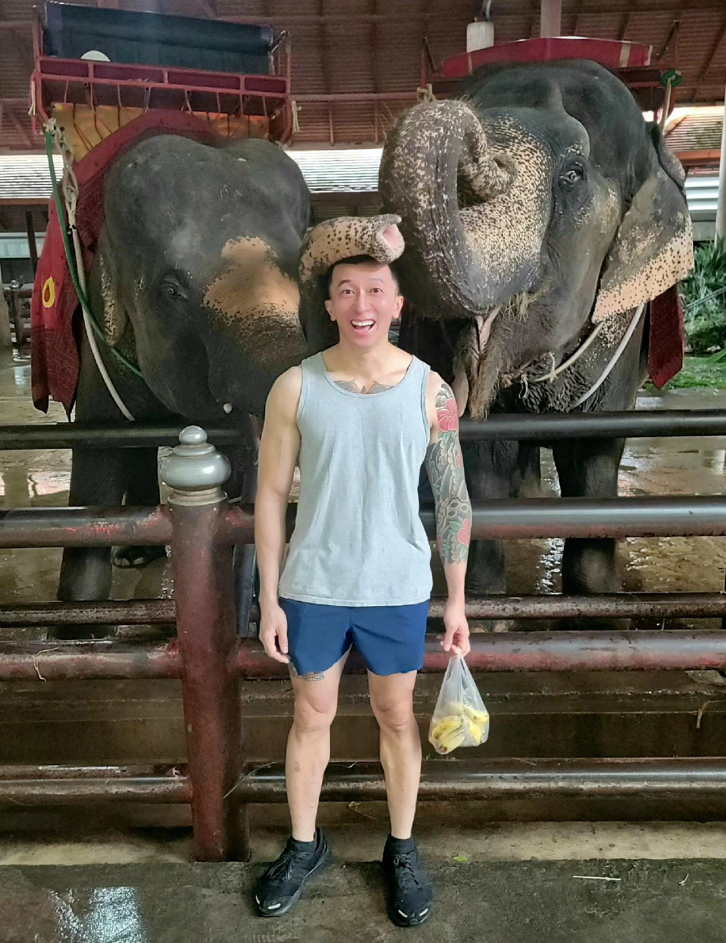 *Bonked* posted by daddybeatsmehelp