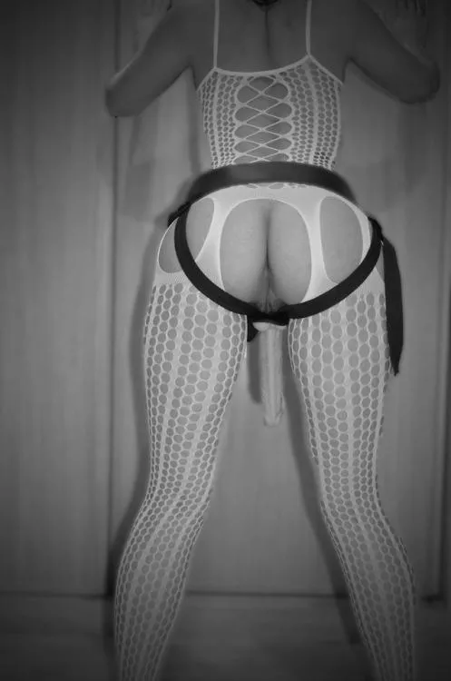 Buena vista? posted by FemdomLovers