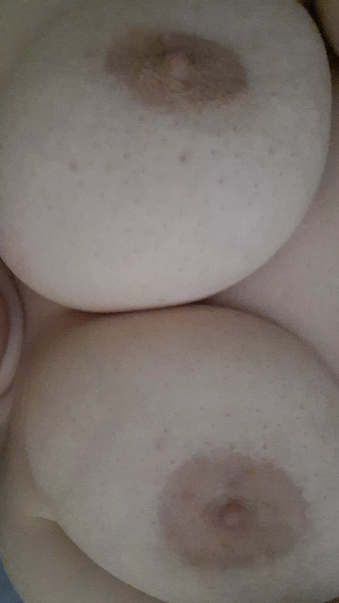 Can I watch you cum for these tits? posted by tittykitty3-0