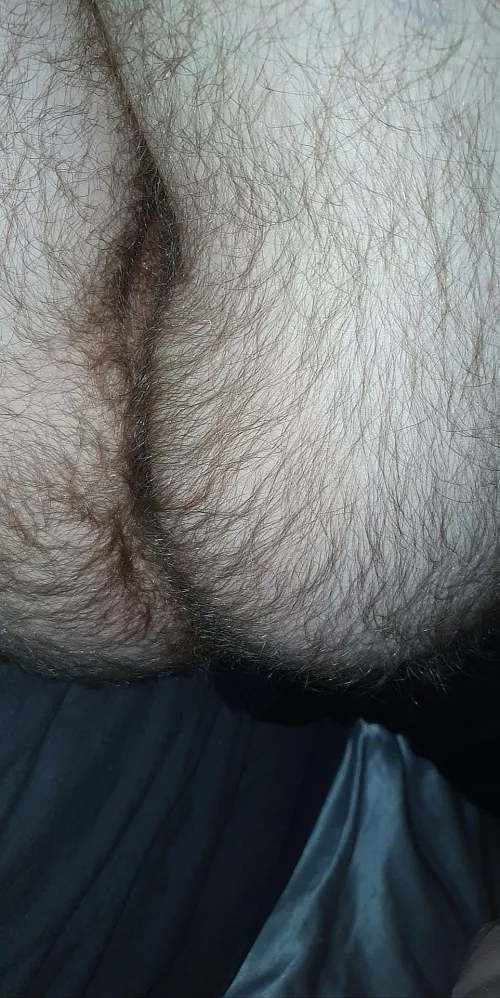 Come sniff my hairy ass by Separate_Fly6315