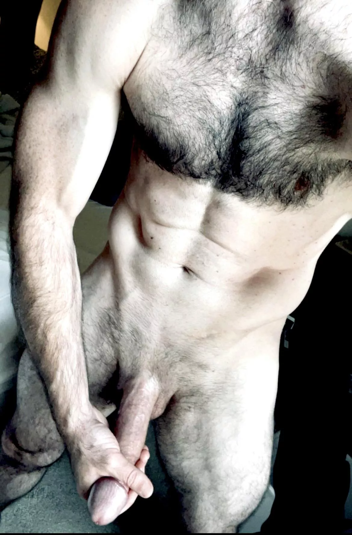 Do you like the size? posted by Hunghulkreborn