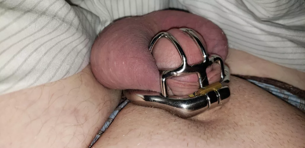 exactly where my little guy deserves to be by Mysterious-Chicken26