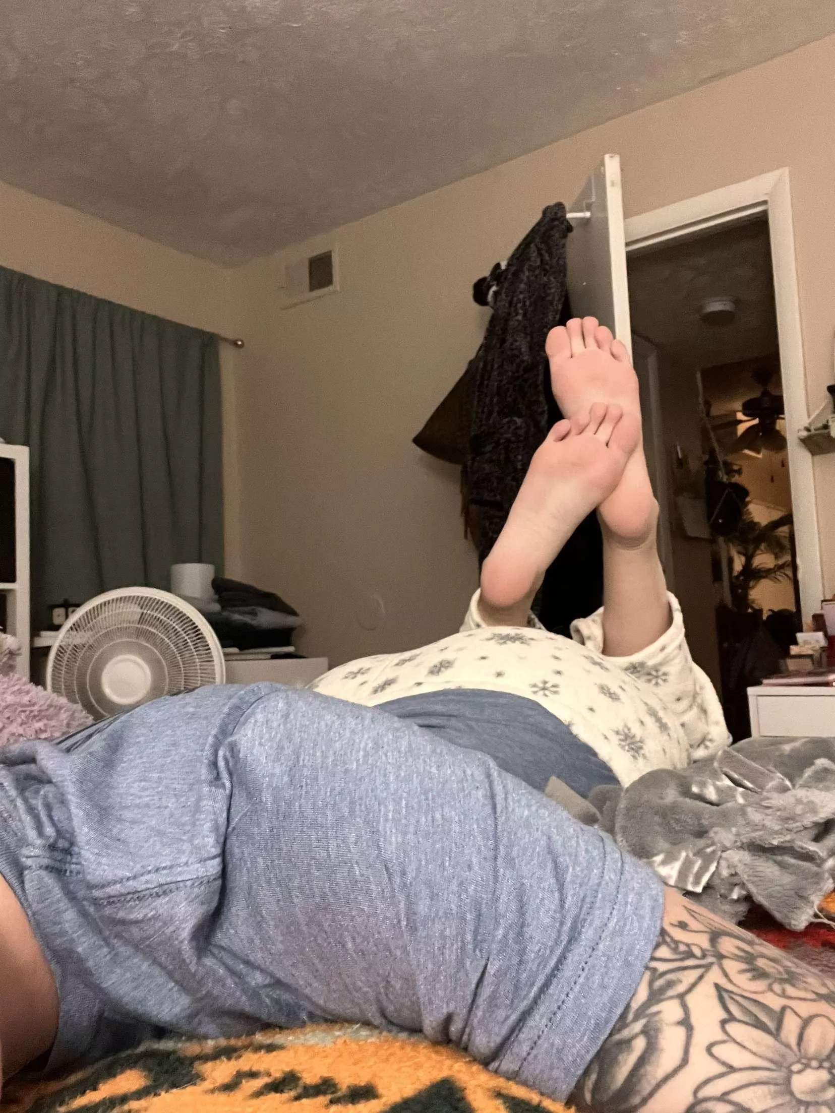 Feeling very lazy today. Anyone up for some company? posted by toesontwowheels