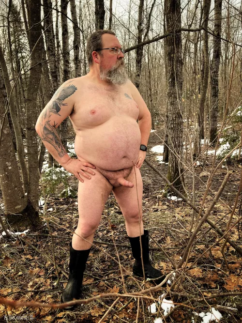 Finally got out for a walk in the woods by AsTheCrowFlies72