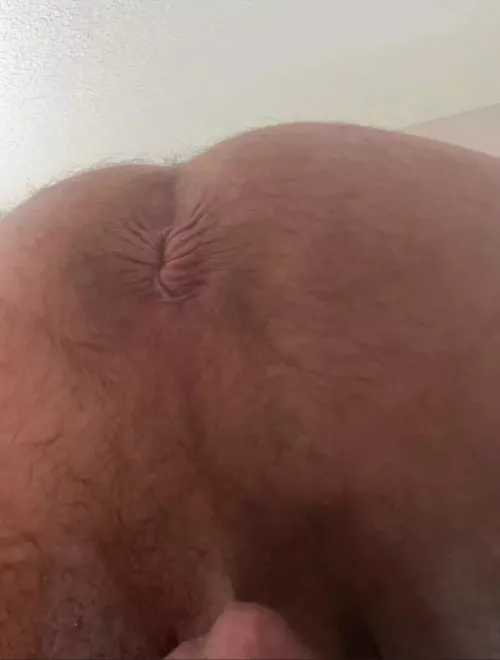 Fuck it or lick it by funtampa