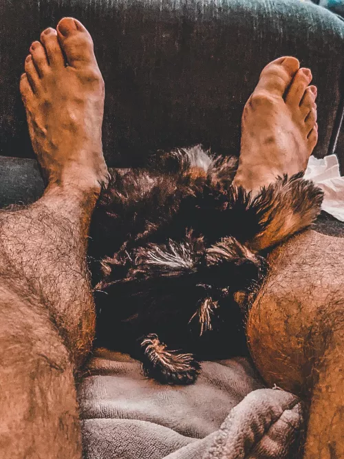 Furry friends by coming_around_again