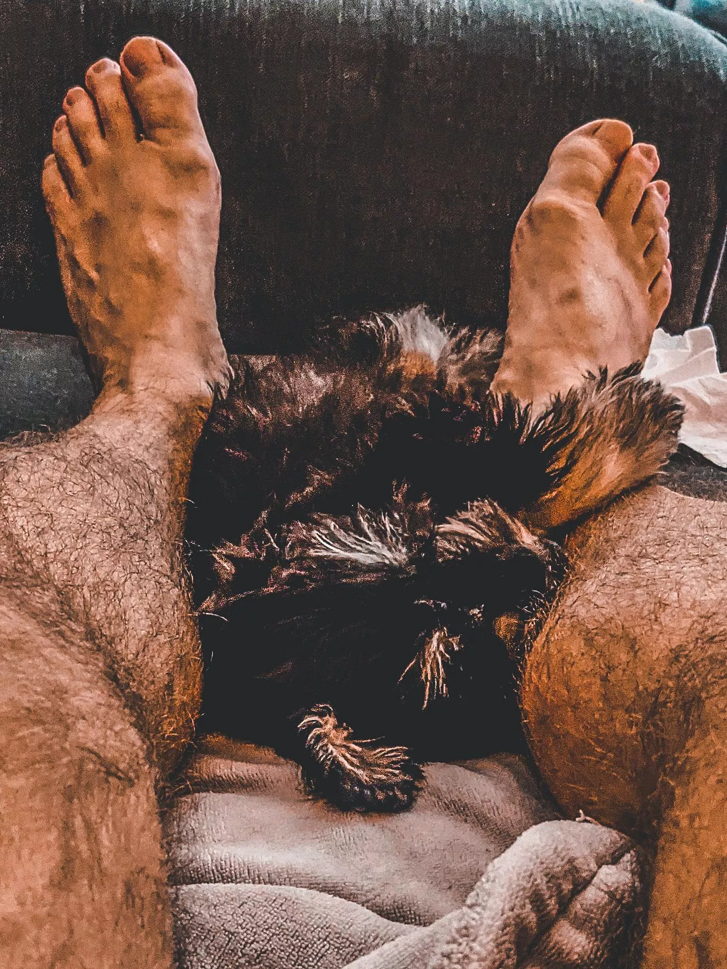 Furry friends posted by coming_around_again