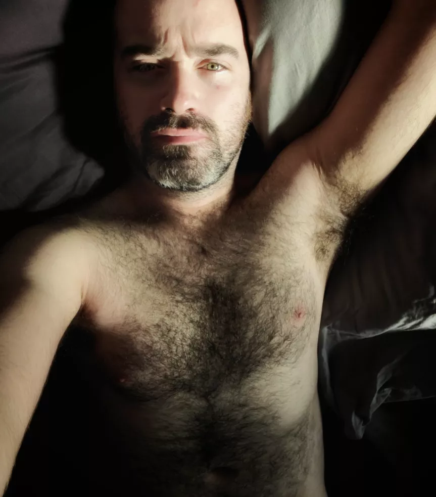 Fuzzy enough for you? posted by Stoves_Hot