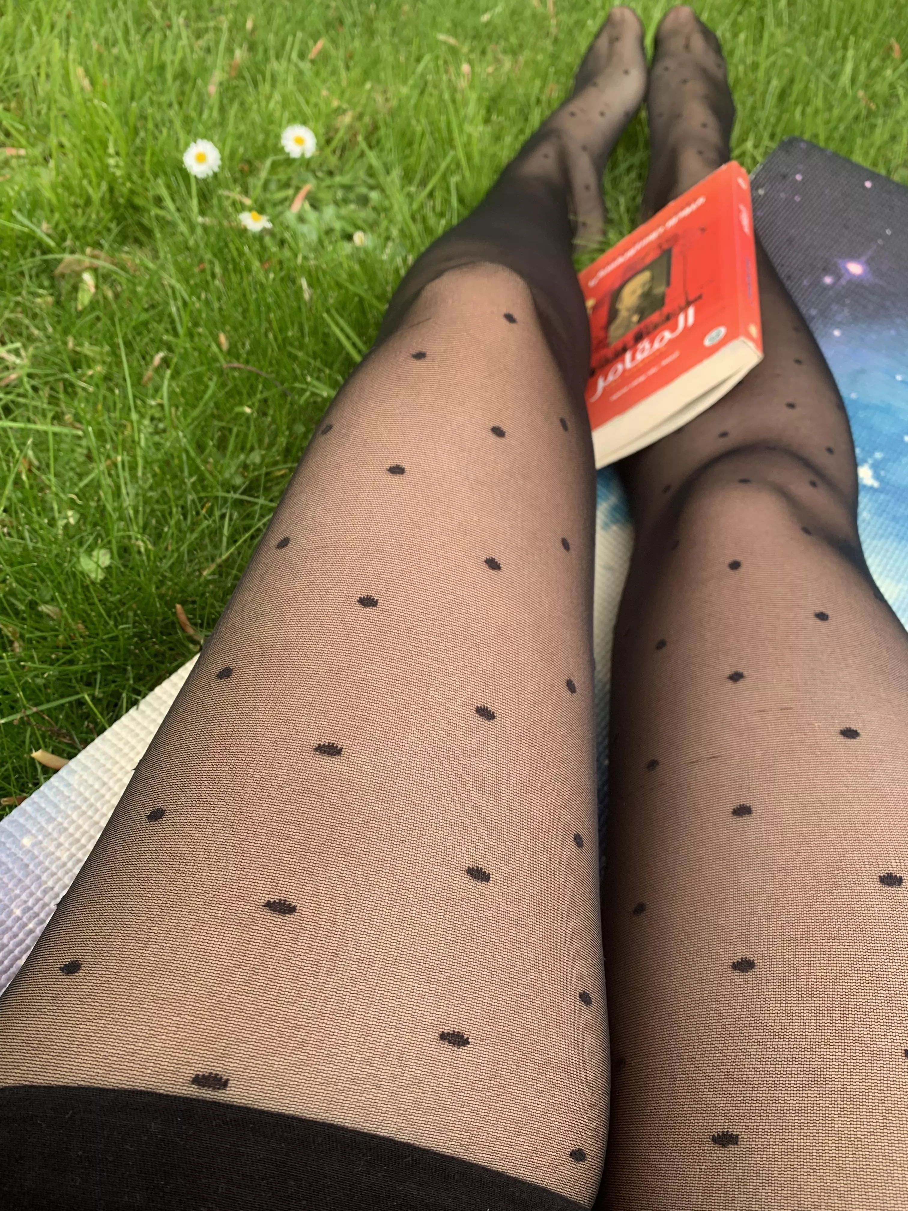 Guess who may be back? posted by Arabian_mystique