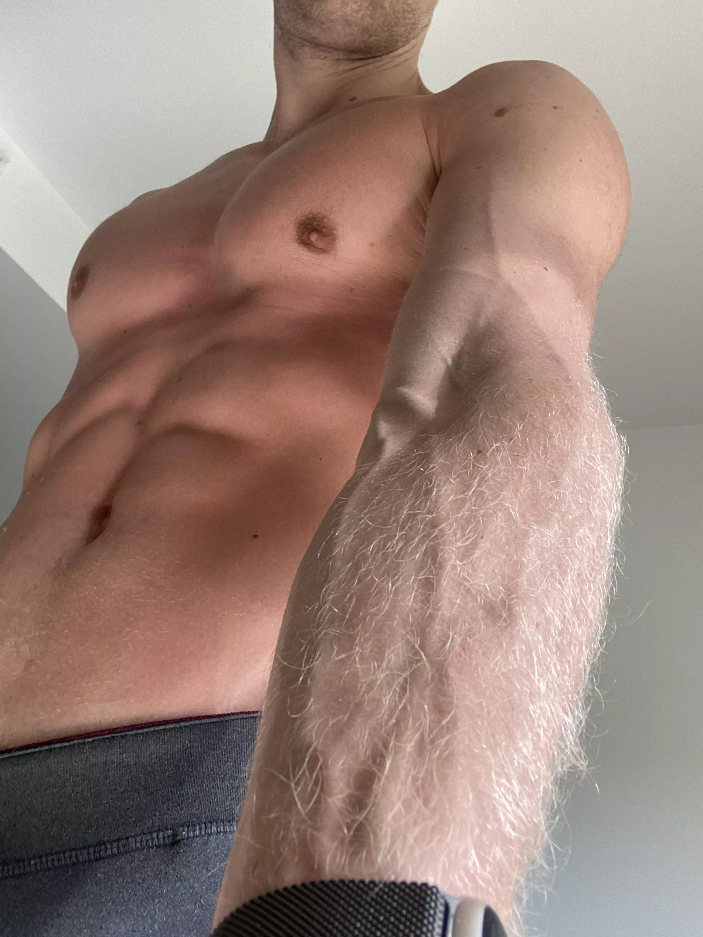 hairy, blond, & veiny 🩸 posted by nordicadonis