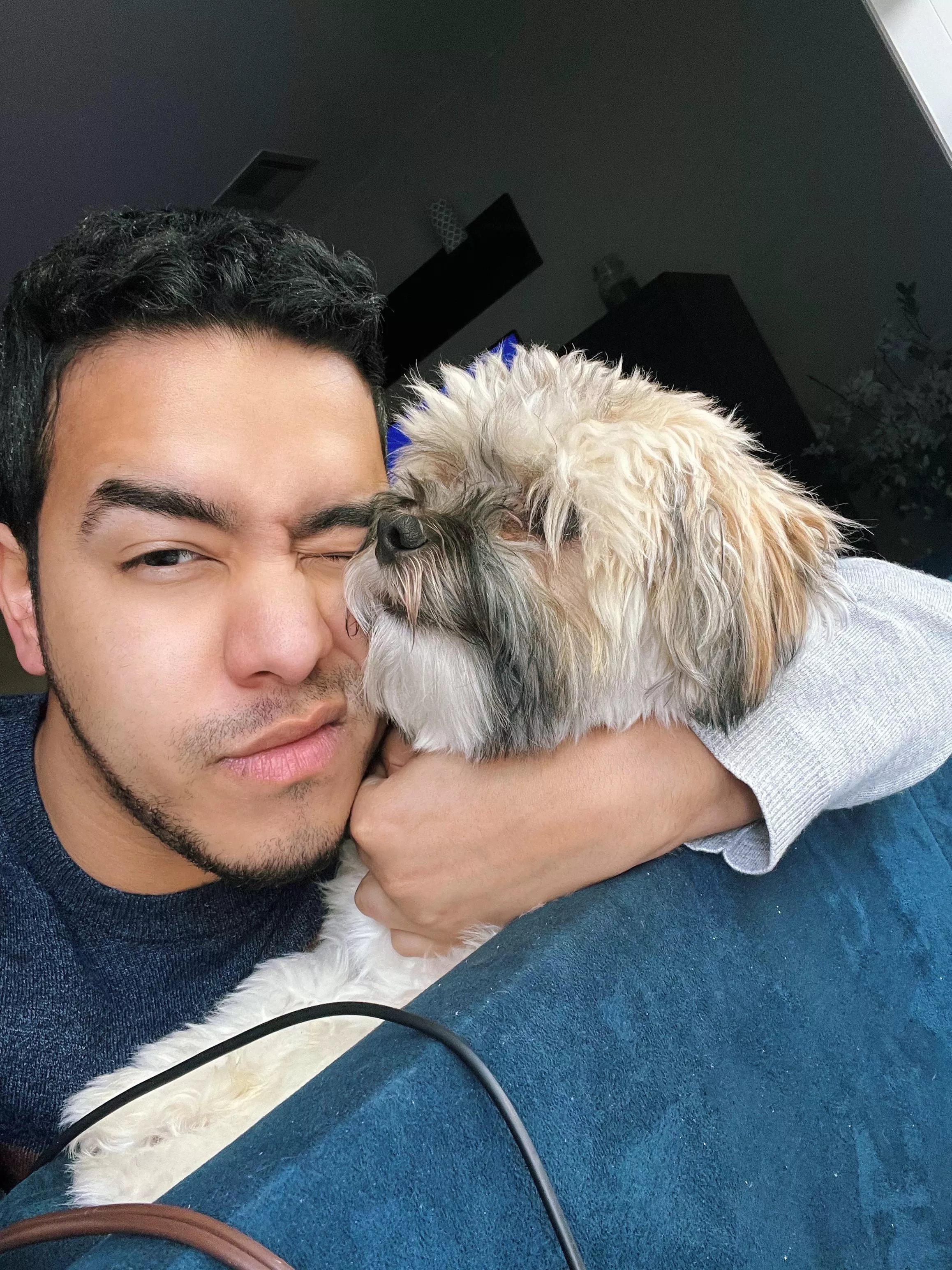 Hanging out with my WFH buddy 🐶 posted by Maximillian78