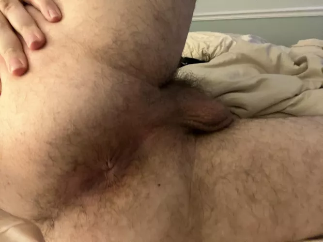How does my hairy hole look? by ChunkeyMonkey69
