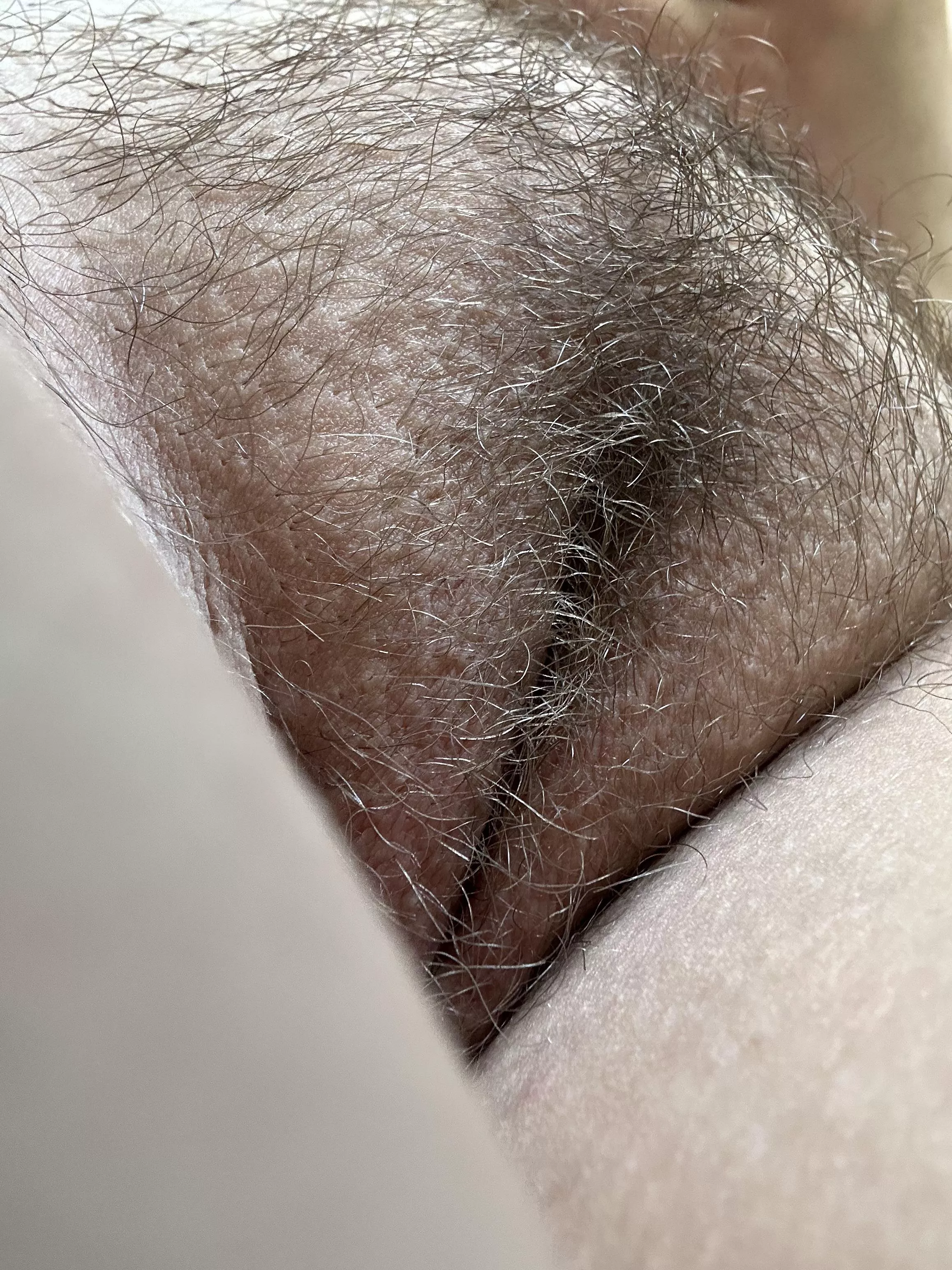 I’ve been growing my bush for a few months now posted by rosemaryprincess69