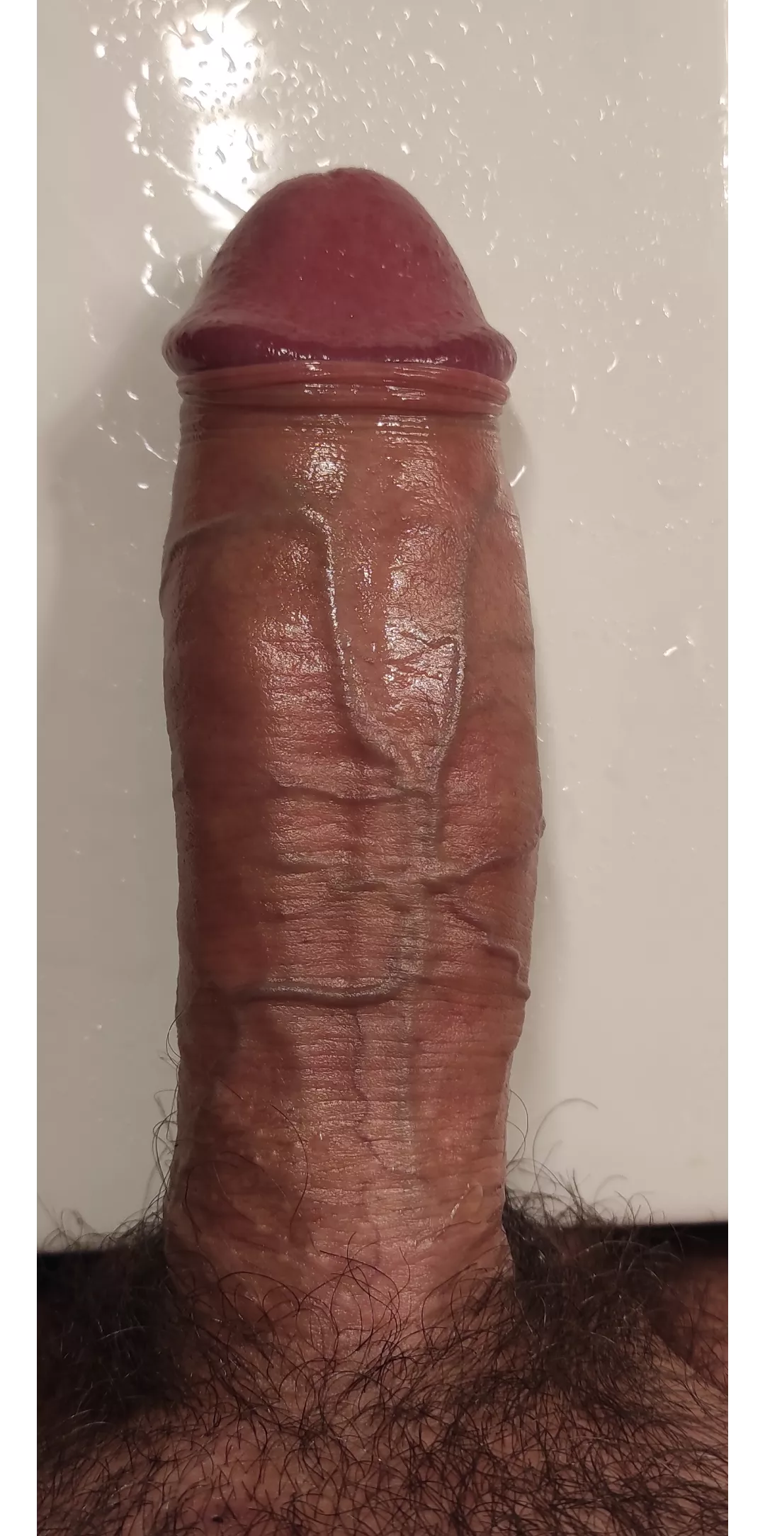 Morning veins (36) posted by Known_Letter_1712