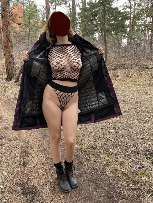 Surprise! by theshirelings22